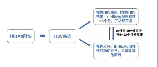 2020乙肝病毒母嬰傳播預(yù)防最新指南，十大核心內(nèi)容解讀！