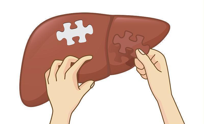 乙肝病毒感染為什么很難徹底治愈？