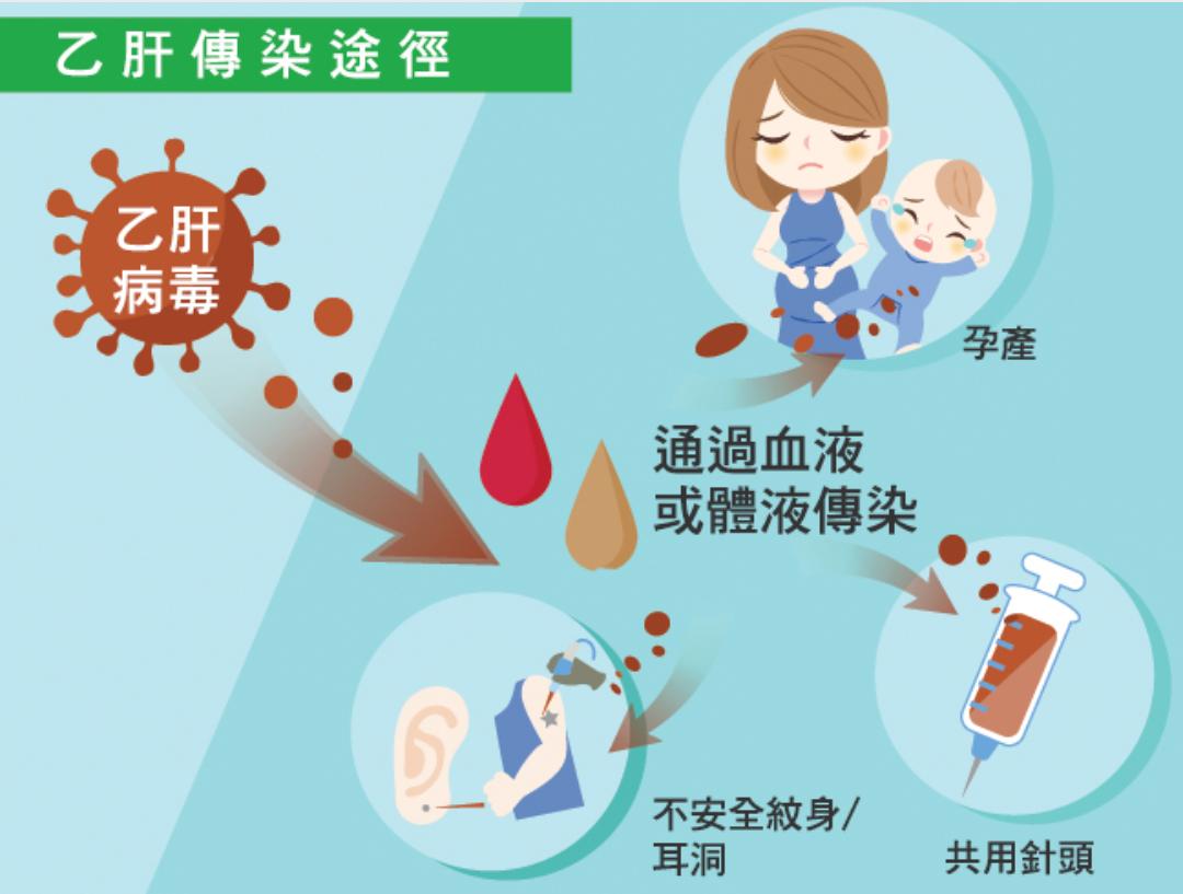 預(yù)防乙肝科普知識