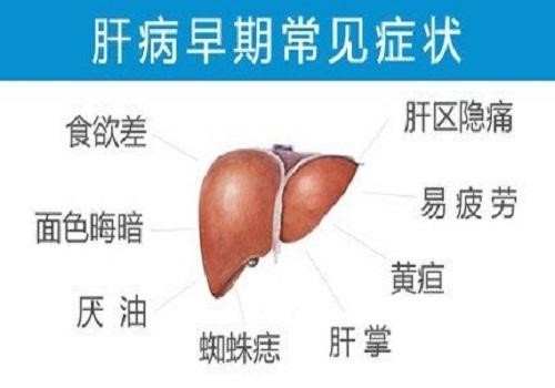 乙肝患者如何保健？